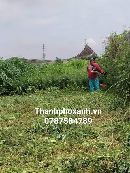 cát cỏ cncq9