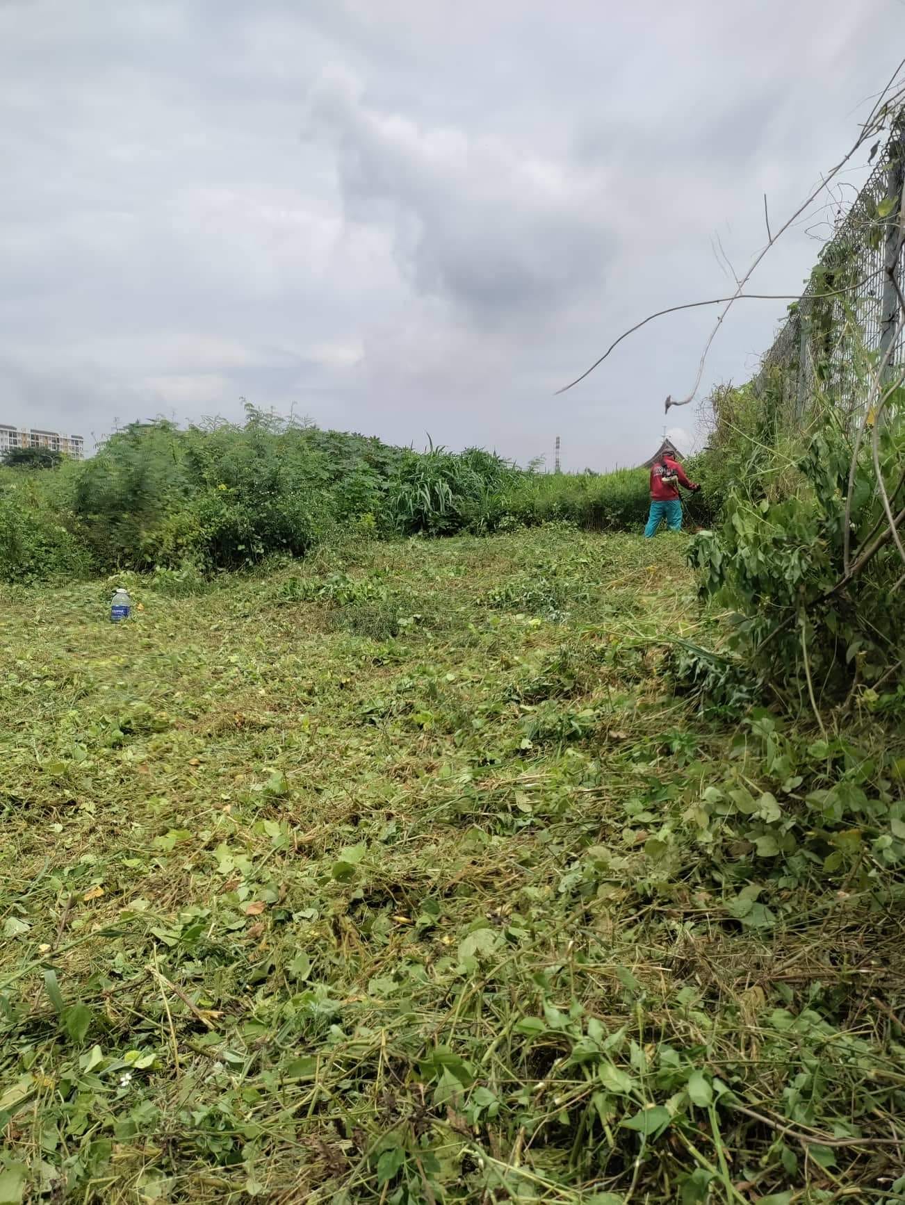 cát cỏ khu cnc