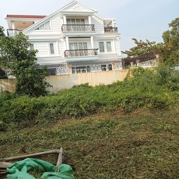 cát cỏ q2