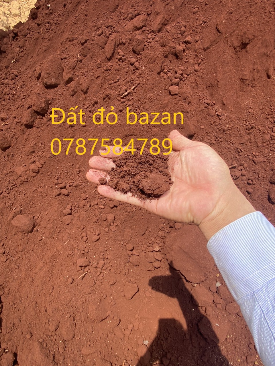 dat-do--bazan2_5