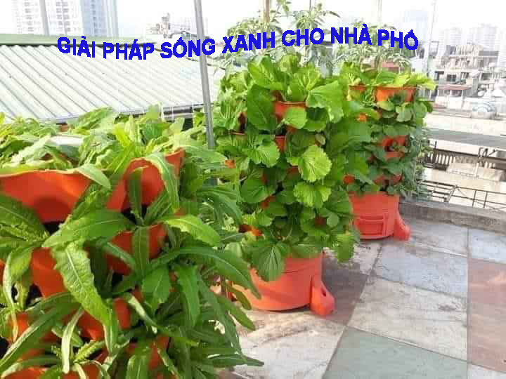 giải pháp sống xanh