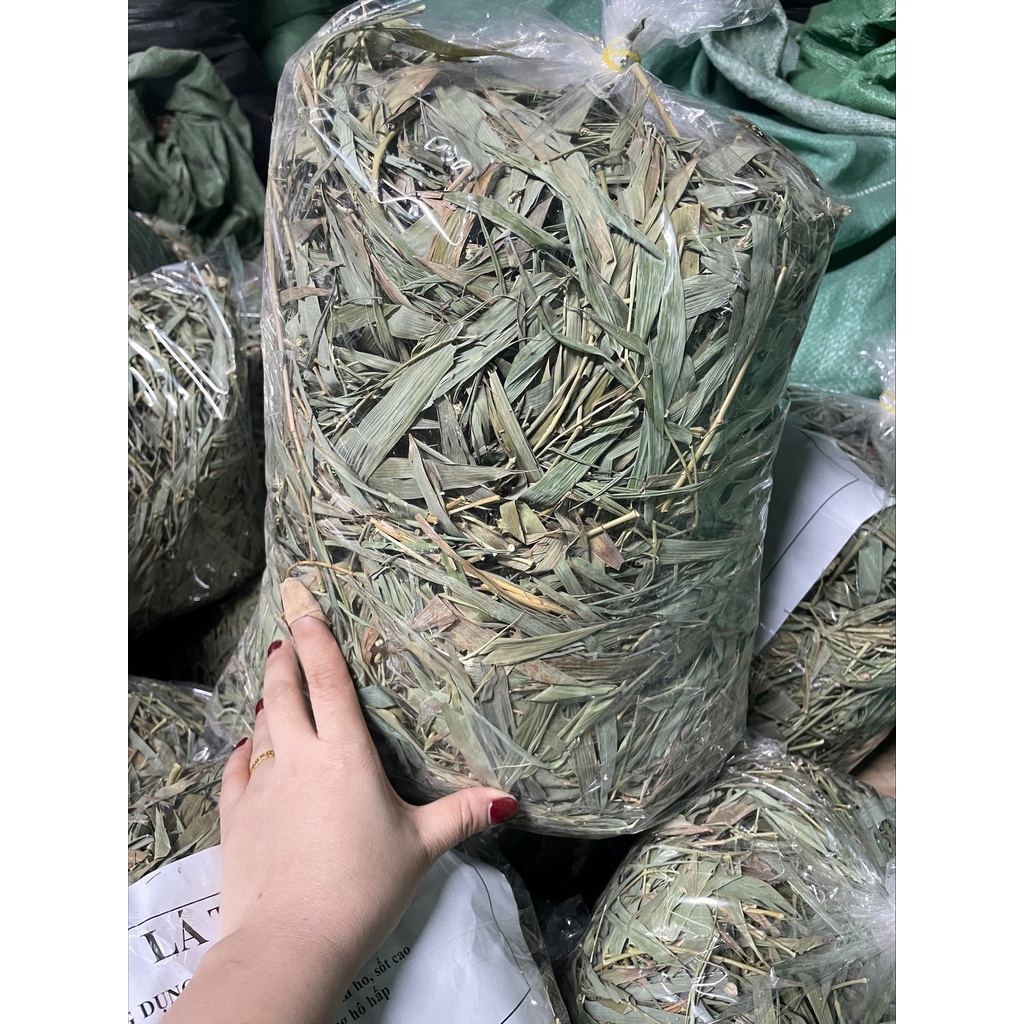 lá tre khô